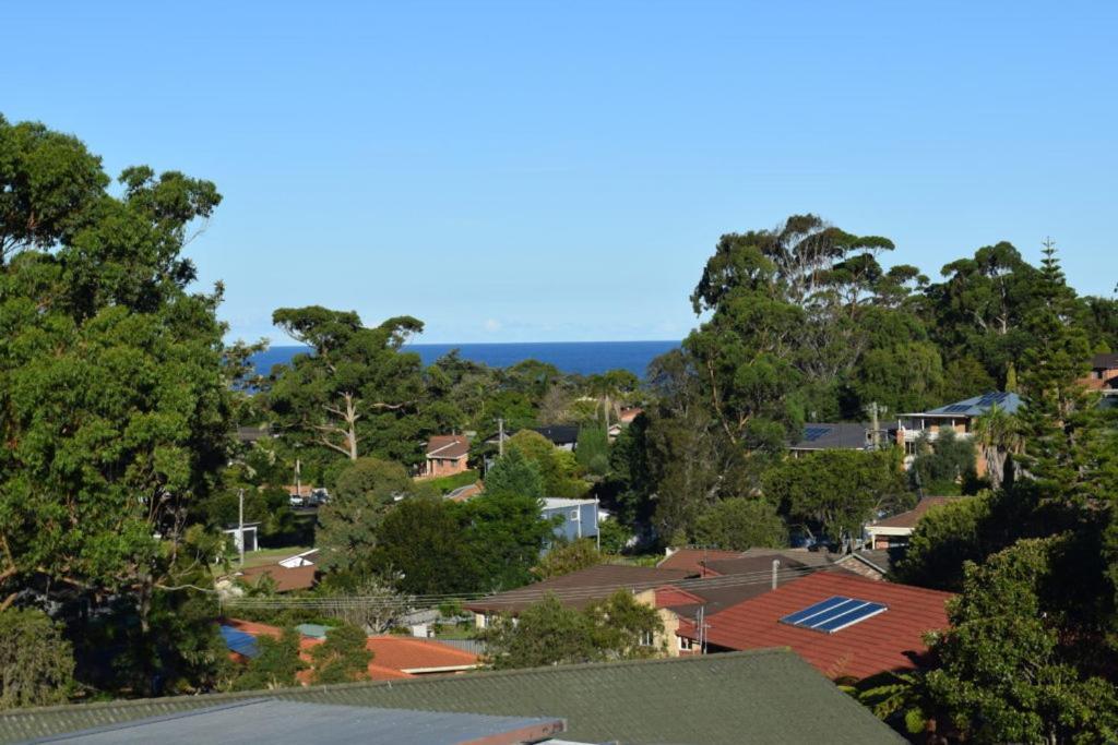 ホテル Mollymook Caravan Park エクステリア 写真