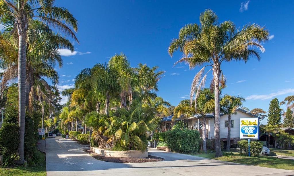 ホテル Mollymook Caravan Park エクステリア 写真